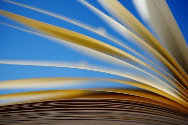 Les incontournables à lire dans un magazine de style féminin
