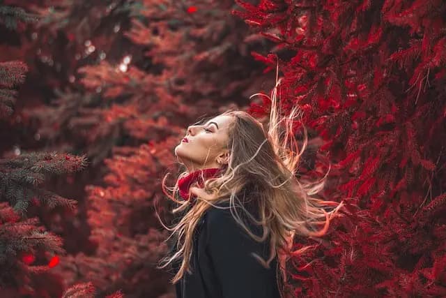 Les looks incontournables pour un style féminin éblouissant
