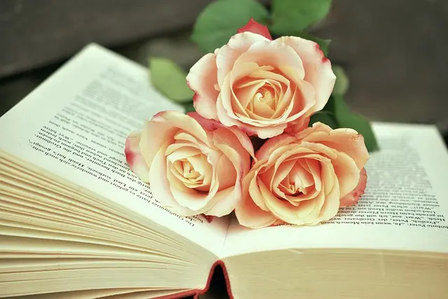 Comment choisir le meilleur magazine de style féminin pour vous