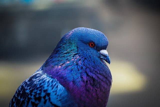 Les couleurs à porter selon votre teint